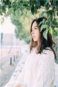 逼我另嫁他人后，骂我放荡的师尊后悔了京墨疏华小说