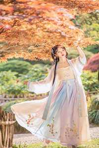 猛龙归来，美女请自重杨凡吴雪兰小说完结版