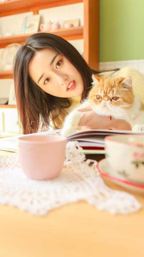 岁月如初深情如故前文+后续