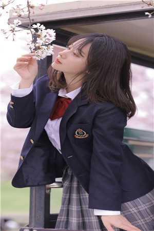 朝朝暮暮不复见小说
