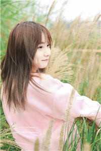 沈衔月顾羡之的小说烂掉的未婚妻，随她去吧阅读