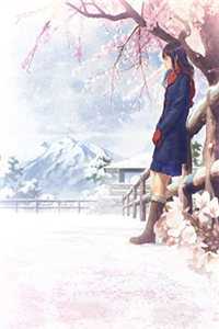 沈长志柳茵雪的小说逃婚君回来后，我早已有孕在身了