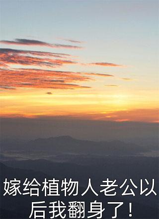 冉星无删减全文
