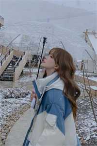 十年雪落终无声完结文